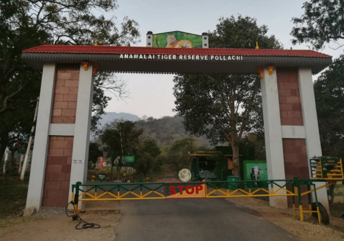 Anamalai Wildlife Sanctuary, Coimbatore, Tamil Nadu - Vushii.com Anamalai Wildlife Sanctuary, Coimbatore, Tamil Nadu - Vushii.com